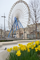 Cliquez sur la vignette pour l'agrandir